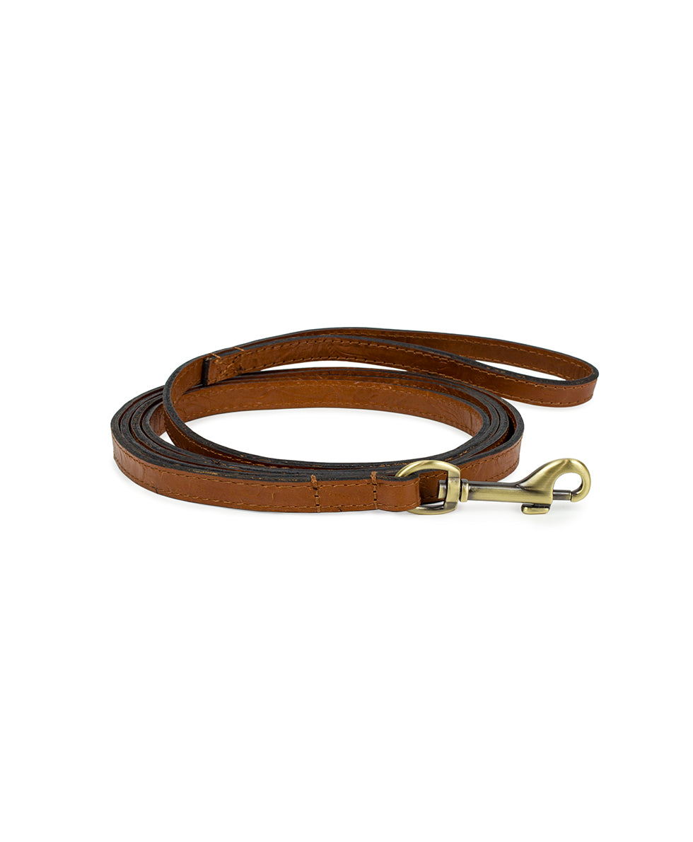 Pet Leash 1/2" Width - Tooled
