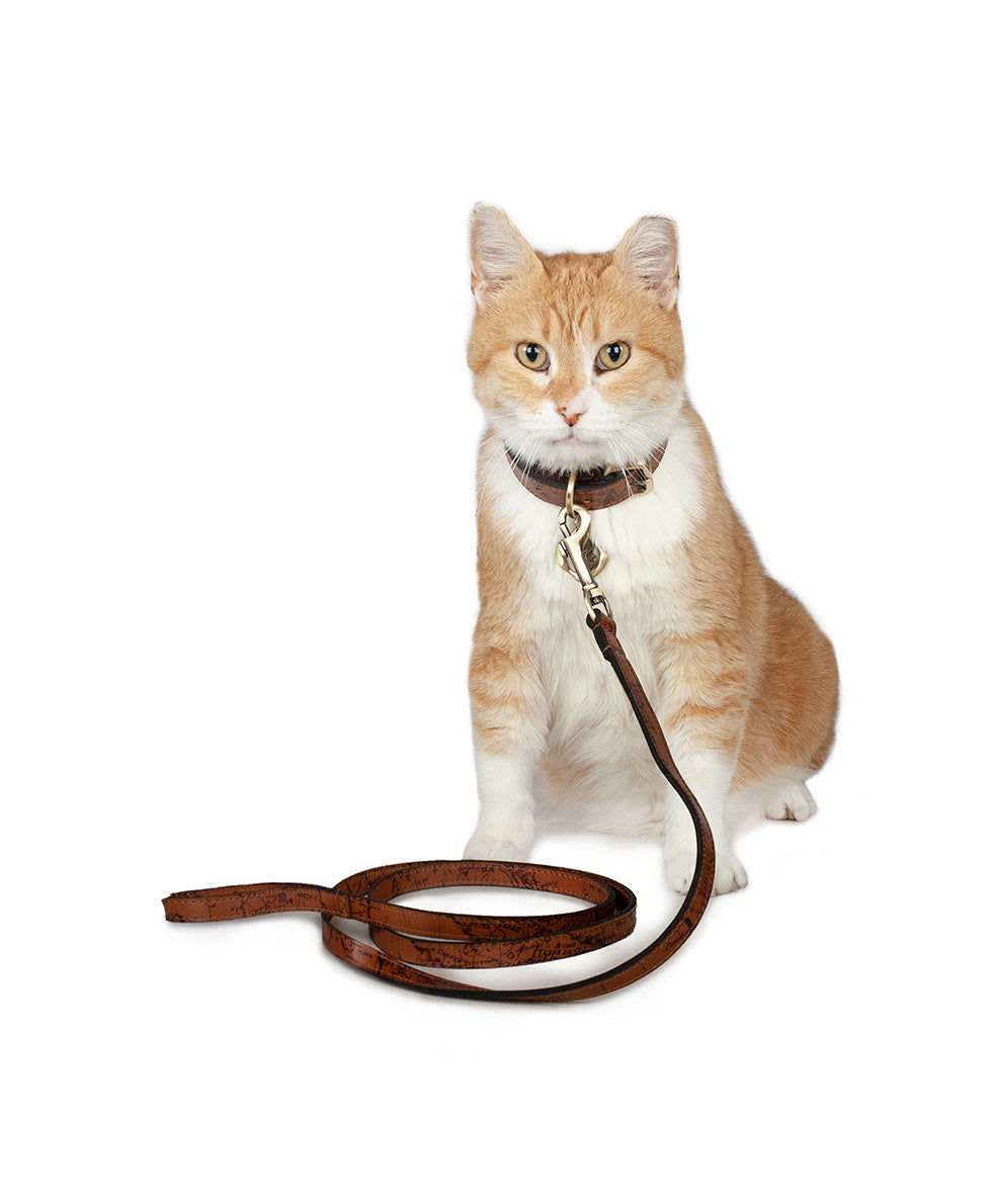 Pet Leash 1/2" Width - Tooled
