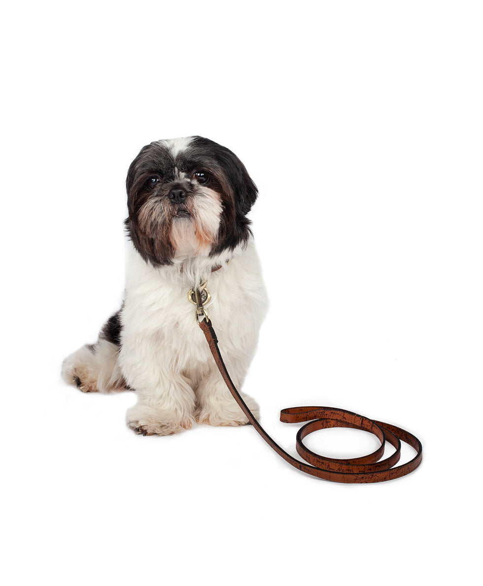 Pet Leash 1/2" Width - Tooled