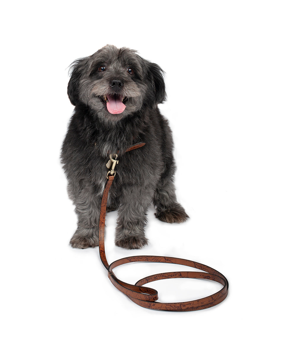 Pet Leash 1/2" Width - Tooled